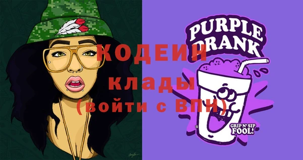 соль ск Дмитров