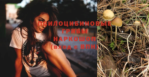 СК Дмитриев