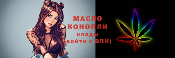 соль ск Дмитров