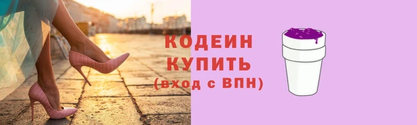 соль ск Дмитров
