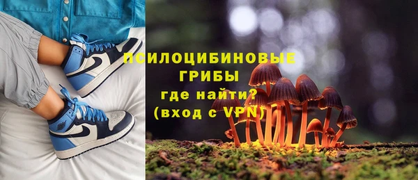 меф Болотное
