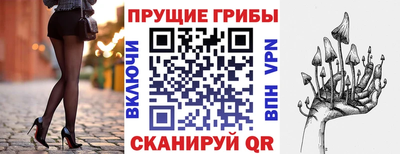Галлюциногенные грибы Magic Shrooms  Ершов 